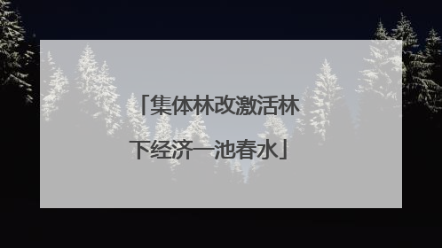 集体林改激活林下经济一池春水