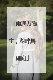 雨润万物生，湖畔舞翩跹