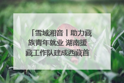雪域湘音丨助力藏族青年就业 湖南援藏工作队建成西藏首个清洁能源装备园