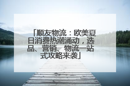 顺友物流：欧美夏日消费热潮涌动，选品、营销、物流一站式攻略来袭