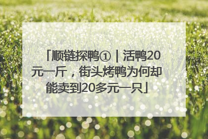 顺链探鸭①｜活鸭20元一斤，街头烤鸭为何却能卖到20多元一只