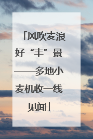 风吹麦浪好“丰”景——多地小麦机收一线见闻
