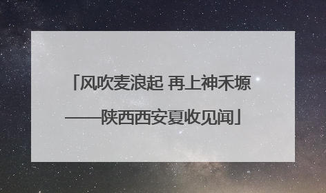 风吹麦浪起 再上神禾塬——陕西西安夏收见闻