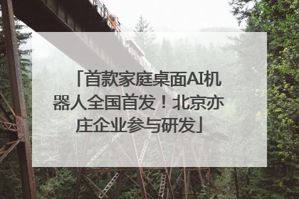 首款家庭桌面AI机器人全国首发！北京亦庄企业参与研发