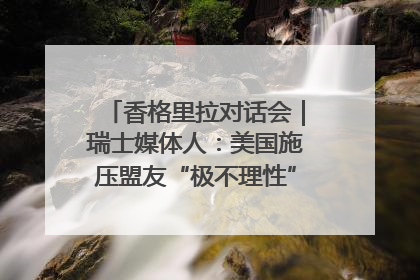 香格里拉对话会｜瑞士媒体人：美国施压盟友“极不理性” 欧洲国家无意与中国“脱钩断链”