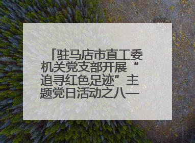 驻马店市直工委机关党支部开展“追寻红色足迹”主题党日活动之八——鏖战独树镇