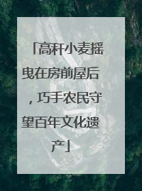 高秆小麦摇曳在房前屋后，巧手农民守望百年文化遗产