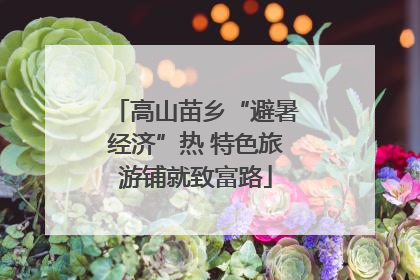 高山苗乡“避暑经济”热 特色旅游铺就致富路
