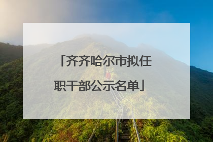 齐齐哈尔市拟任职干部公示名单