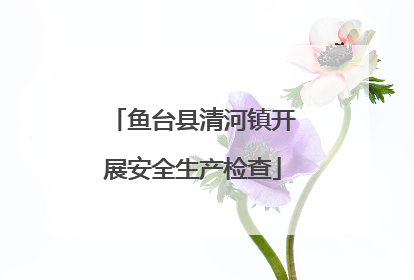 鱼台县清河镇开展安全生产检查