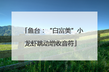 鱼台：“白富美”小龙虾跳动增收音符