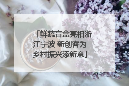 鲜蔬盲盒亮相浙江宁波 新创客为乡村振兴添新意