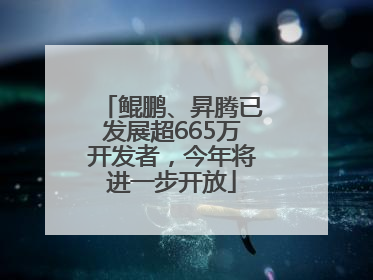 鲲鹏、昇腾已发展超665万开发者，今年将进一步开放