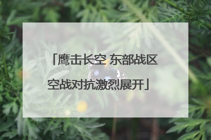 鹰击长空 东部战区空战对抗激烈展开