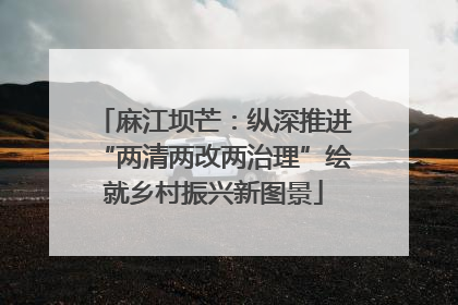 麻江坝芒：纵深推进“两清两改两治理”绘就乡村振兴新图景