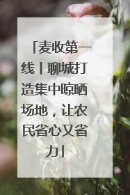 麦收第一线丨聊城打造集中晾晒场地，让农民省心又省力