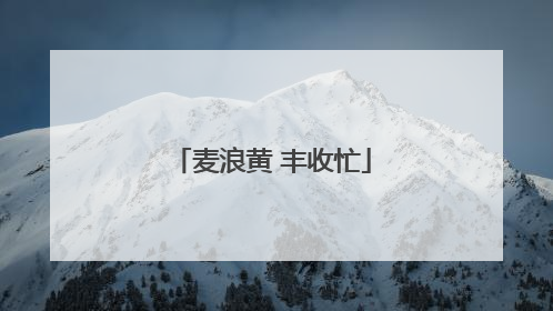 麦浪黄 丰收忙
