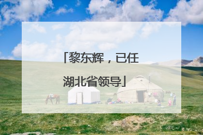 黎东辉，已任湖北省领导