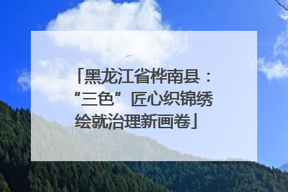 黑龙江省桦南县：“三色”匠心织锦绣 绘就治理新画卷