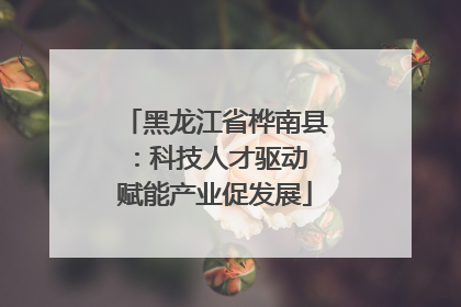 黑龙江省桦南县：科技人才驱动 赋能产业促发展