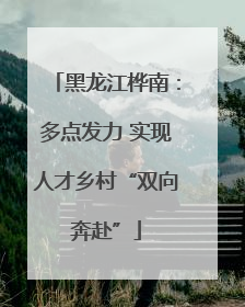 黑龙江桦南：多点发力 实现人才乡村“双向奔赴”