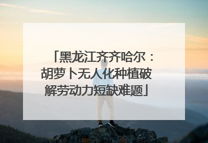 黑龙江齐齐哈尔：胡萝卜无人化种植破解劳动力短缺难题