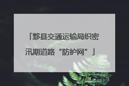 黟县交通运输局织密汛期道路“防护网”