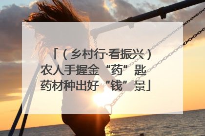 （乡村行·看振兴）农人手握金“药”匙 药材种出好“钱”景