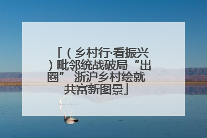 （乡村行·看振兴）毗邻统战破局“出圈” 浙沪乡村绘就共富新图景