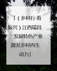 （乡村行·看振兴）江西瑞昌：发展特色产业 激发乡村内生动力