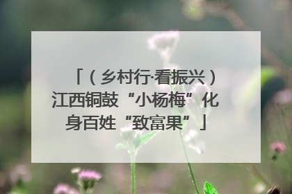 （乡村行·看振兴）江西铜鼓“小杨梅”化身百姓“致富果”