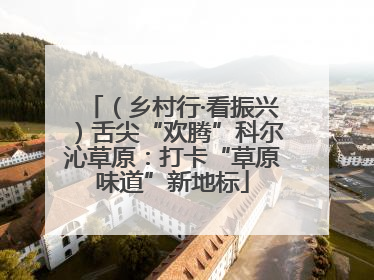 （乡村行·看振兴）舌尖“欢腾”科尔沁草原：打卡“草原味道”新地标