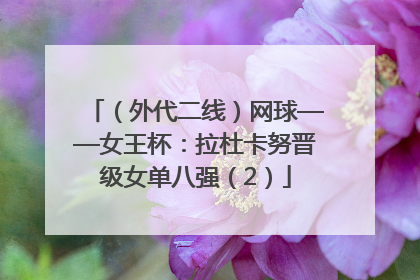（外代二线）网球——女王杯：拉杜卡努晋级女单八强（2）