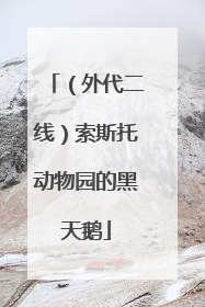 （外代二线）索斯托动物园的黑天鹅