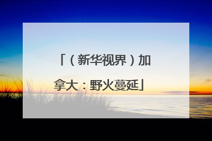 （新华视界）加拿大：野火蔓延