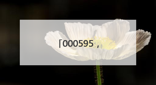 000595，调整后重大资产重组方案公布！
