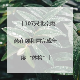 107只北京雨燕在颐和园完成年度“体检”