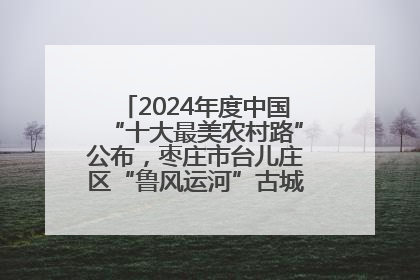 2024年度中国“十大最美农村路”公布，枣庄市台儿庄区“鲁风运河”古城文化廊道上榜！