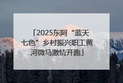 2025东阿“蓝天七色”乡村振兴职工黄河微马激情开跑