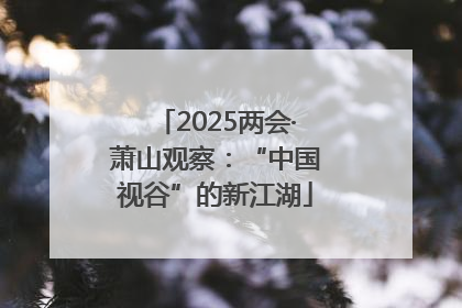 2025两会·萧山观察：“中国视谷”的新江湖