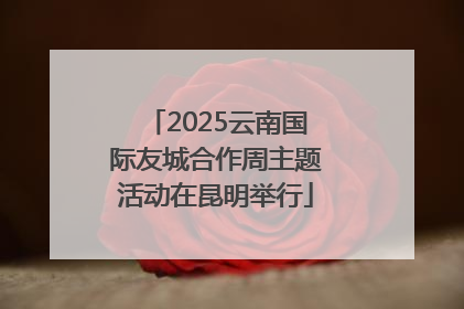 2025云南国际友城合作周主题活动在昆明举行