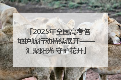 2025年全国高考各地护航行动持续展开——汇聚阳光 守护花开