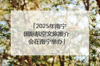 2025年南宁国际航空文旅推介会在南宁举办