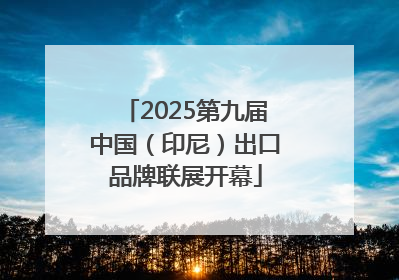 2025第九届中国（印尼）出口品牌联展开幕