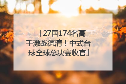 27国174名高手激战德清！中式台球全球总决赛收官
