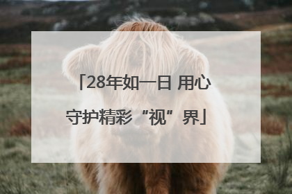 28年如一日 用心守护精彩“视”界