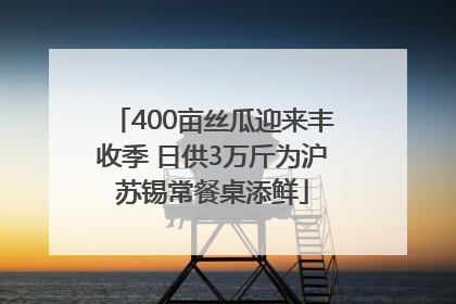 400亩丝瓜迎来丰收季 日供3万斤为沪苏锡常餐桌添鲜