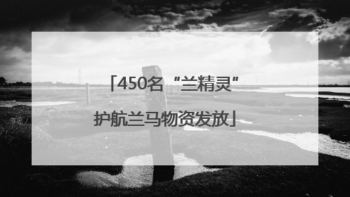450名“兰精灵”护航兰马物资发放