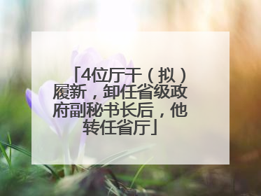 4位厅干（拟）履新，卸任省级政府副秘书长后，他转任省厅