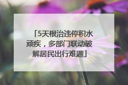 5天根治违停积水顽疾，多部门联动破解居民出行难题